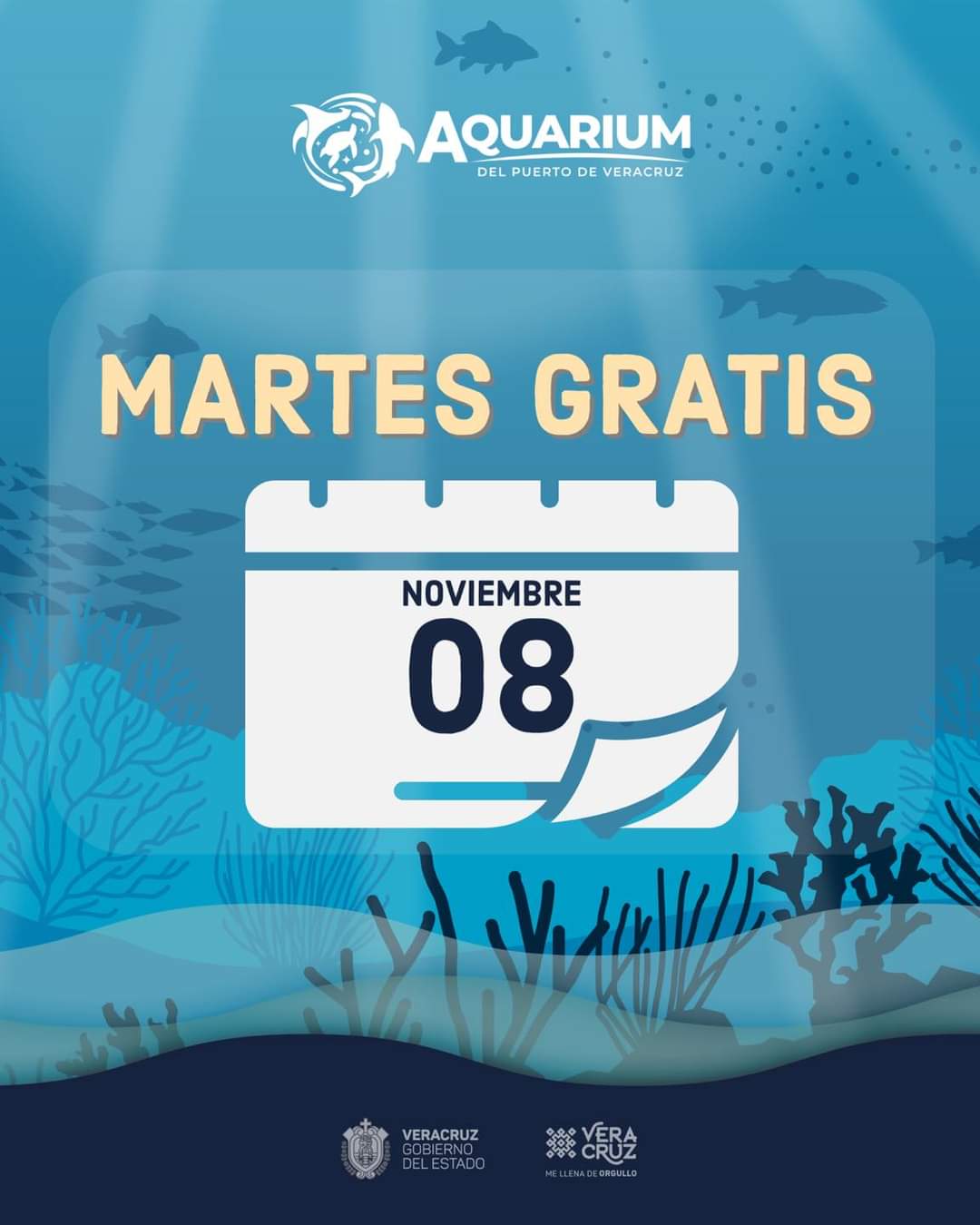 Martes 8 de noviembre, Aquarium del Puerto de Veracruz tendrá entrada gratuita