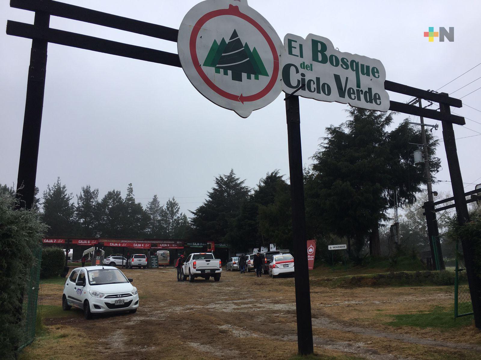 Ciclo Verde abre sus puertas para disfrutar la Navidad en este emblemático parque