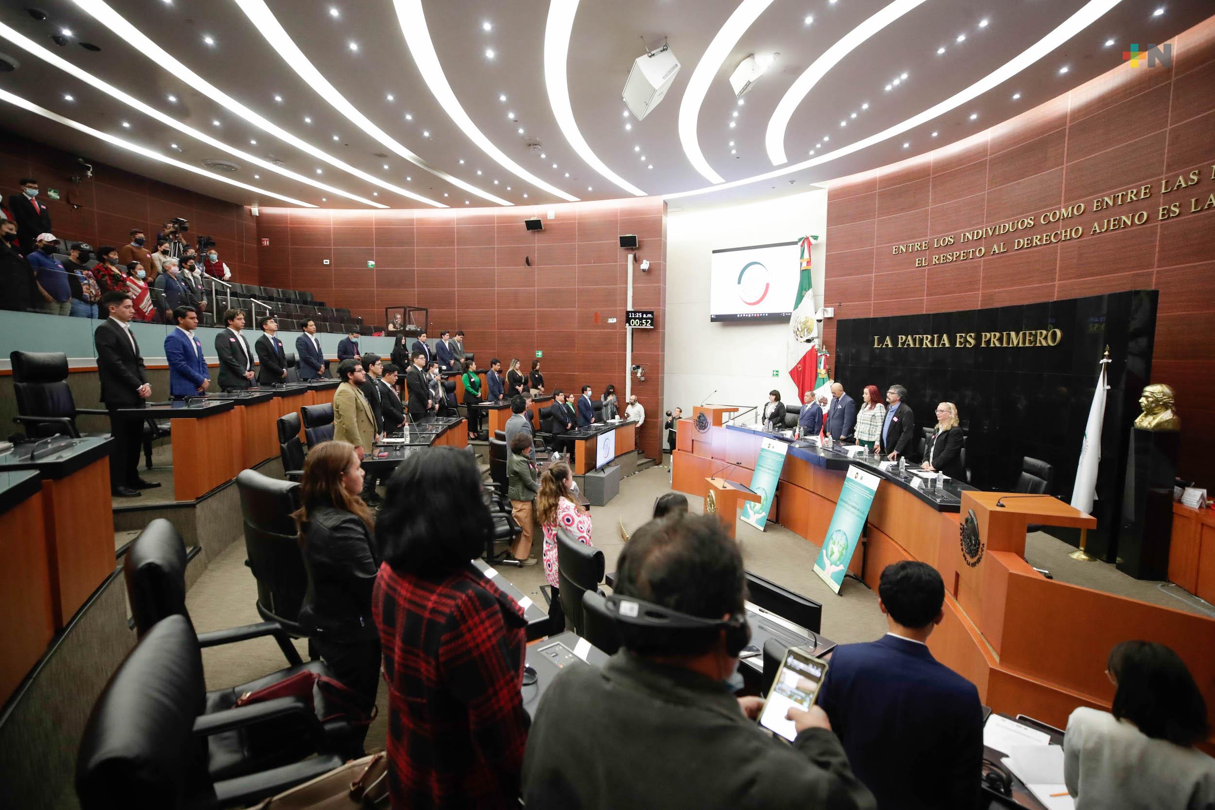 En el Senado plantean tipificar y sancionar tortura sexual