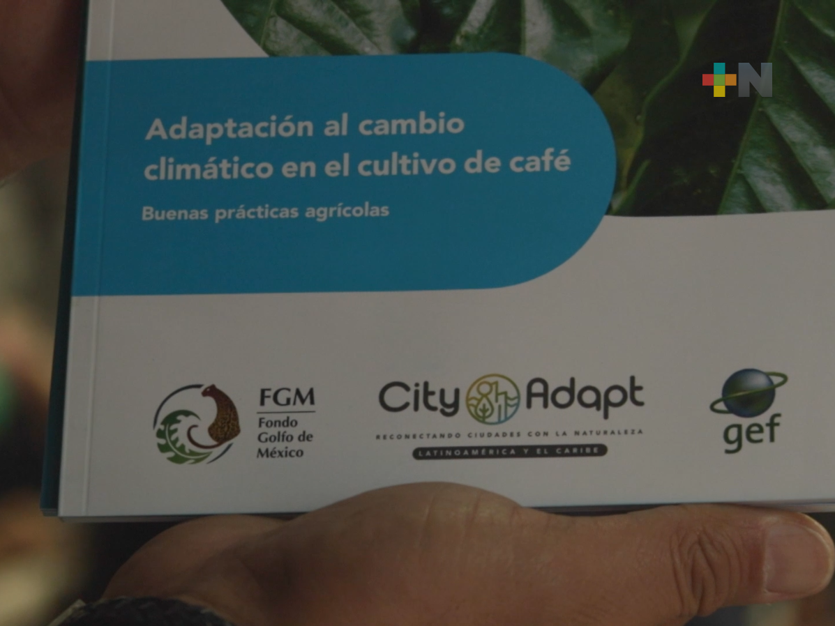Presentaron el libro “Adaptación al cambio climático en el cultivo de café”