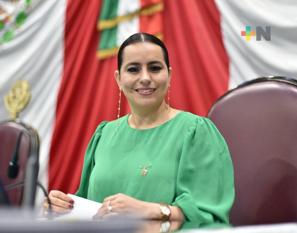 Remite diputada su informe anual de labores