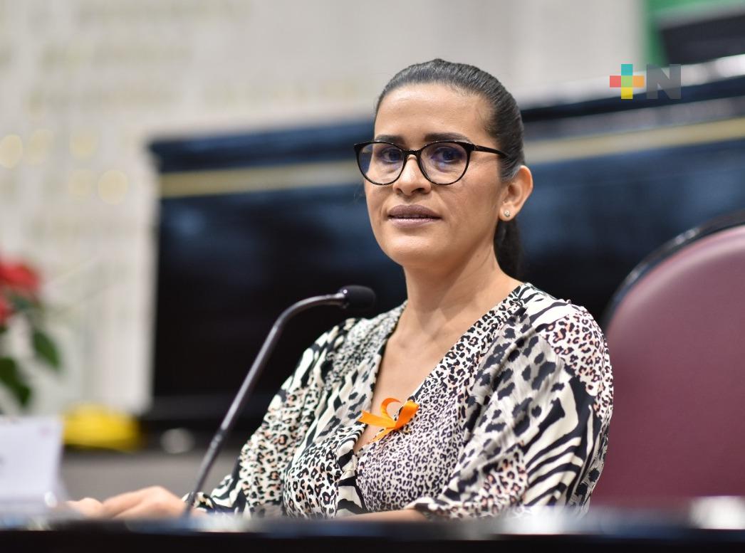 Cumple Sedesol con reducir los índices de pobreza en Veracruz