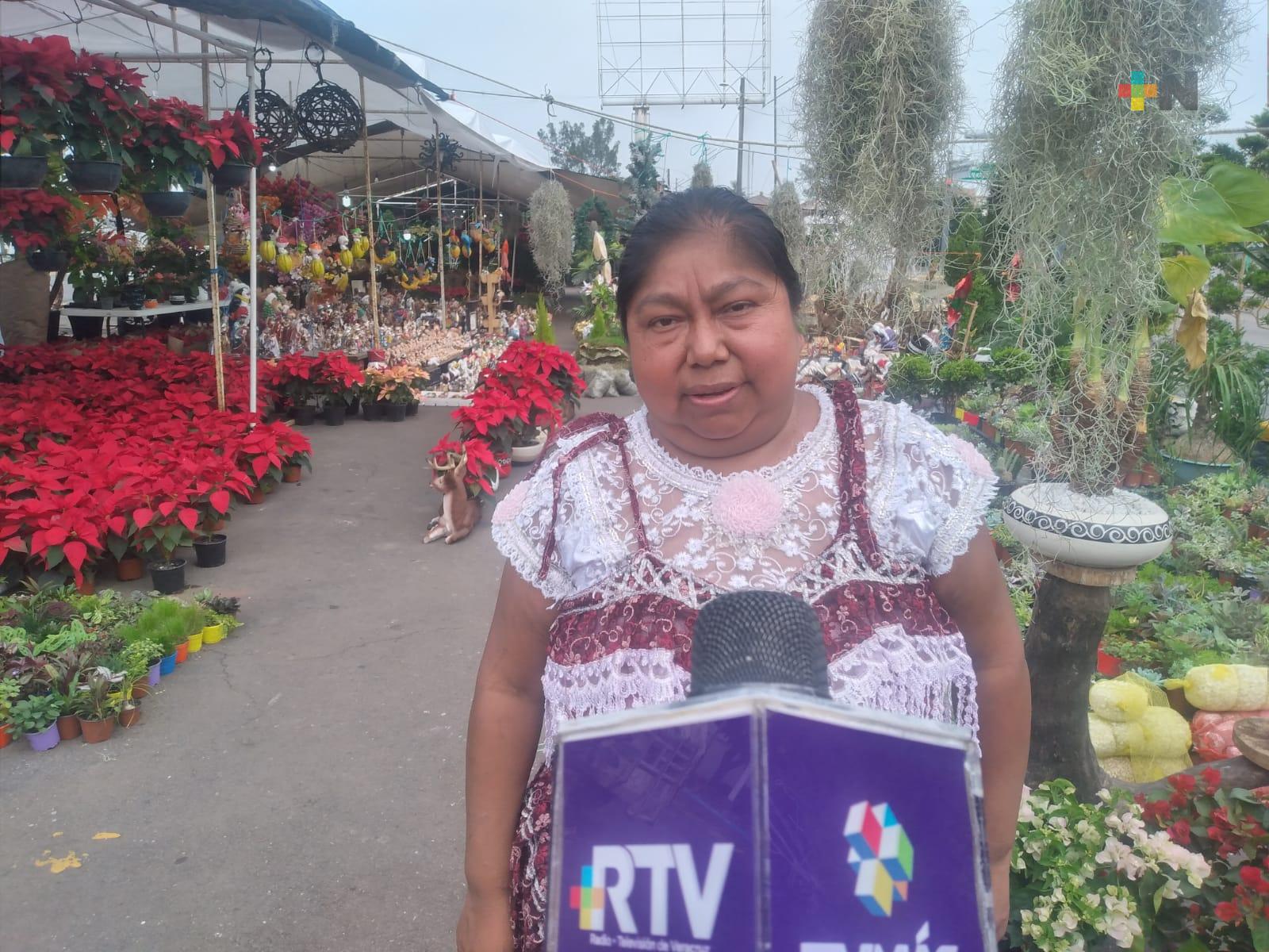 Productores de Ixhuatlancillo ofrecerán arboles de Navidad, Nochebuenas y artesanías