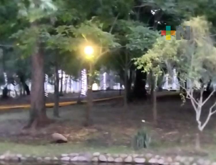 Listas Villa Iluminada y pista de hielo en Martínez de la Torre