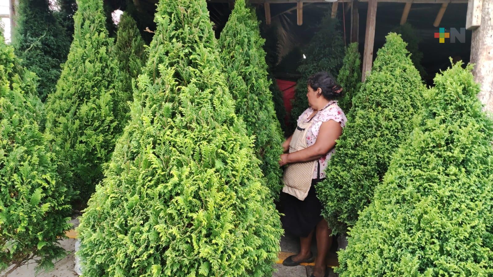 Inician ventas navideñas en Córdoba para beneficio de comerciantes y consumidores