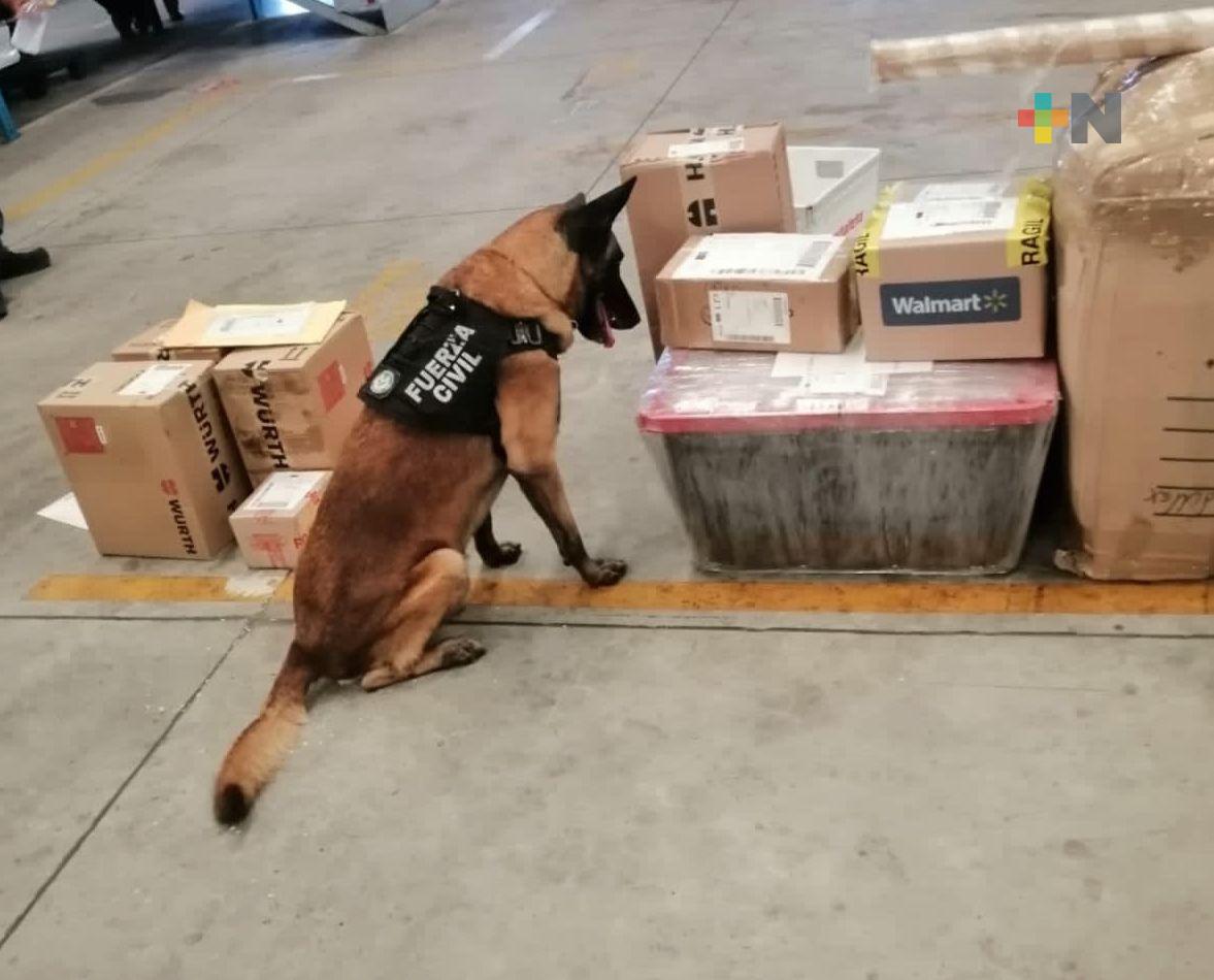 Implementa Compañia K9 de Fuerza Civil operativo en paqueterías del puerto