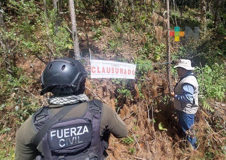 Encabeza Caballería de Fuerza Civil operativo contra la tala inmoderada
