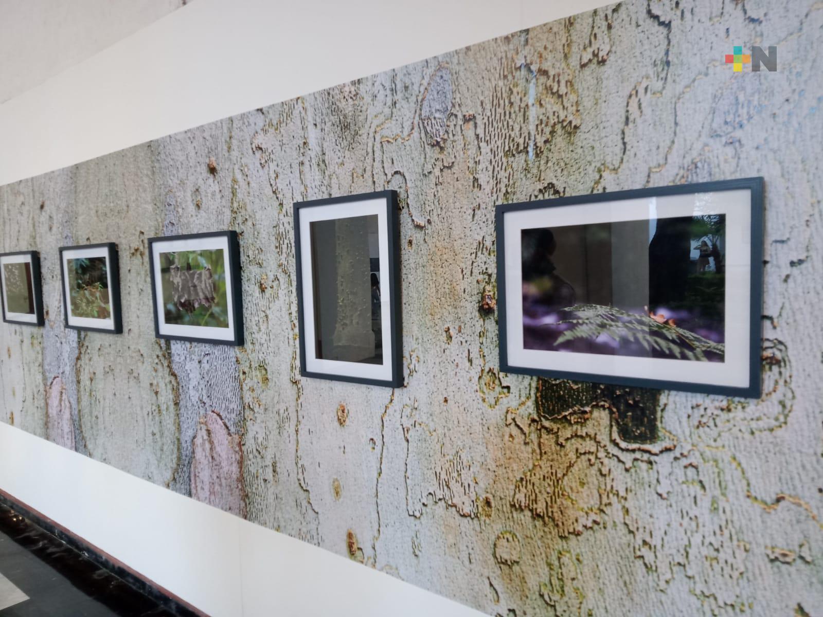 Expone Exconvento Betlehemita «Anclar en la niebla»