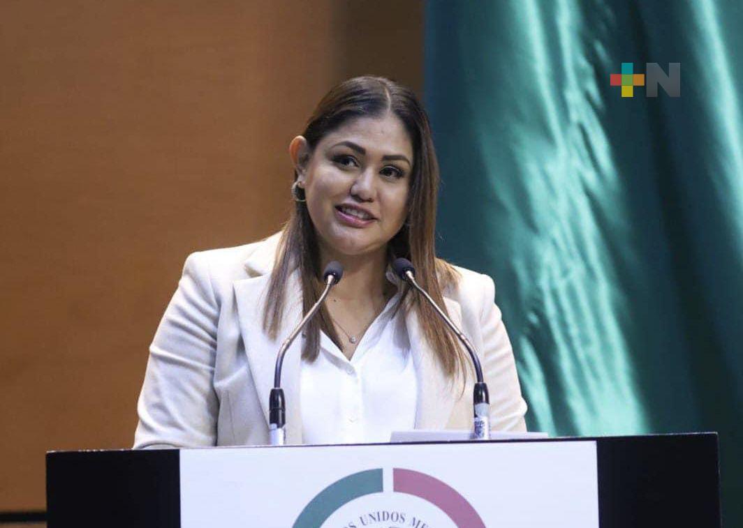 Con PEF 2023, incremento histórico en recursos para Veracruz; Julen miente: Raquel Bonilla