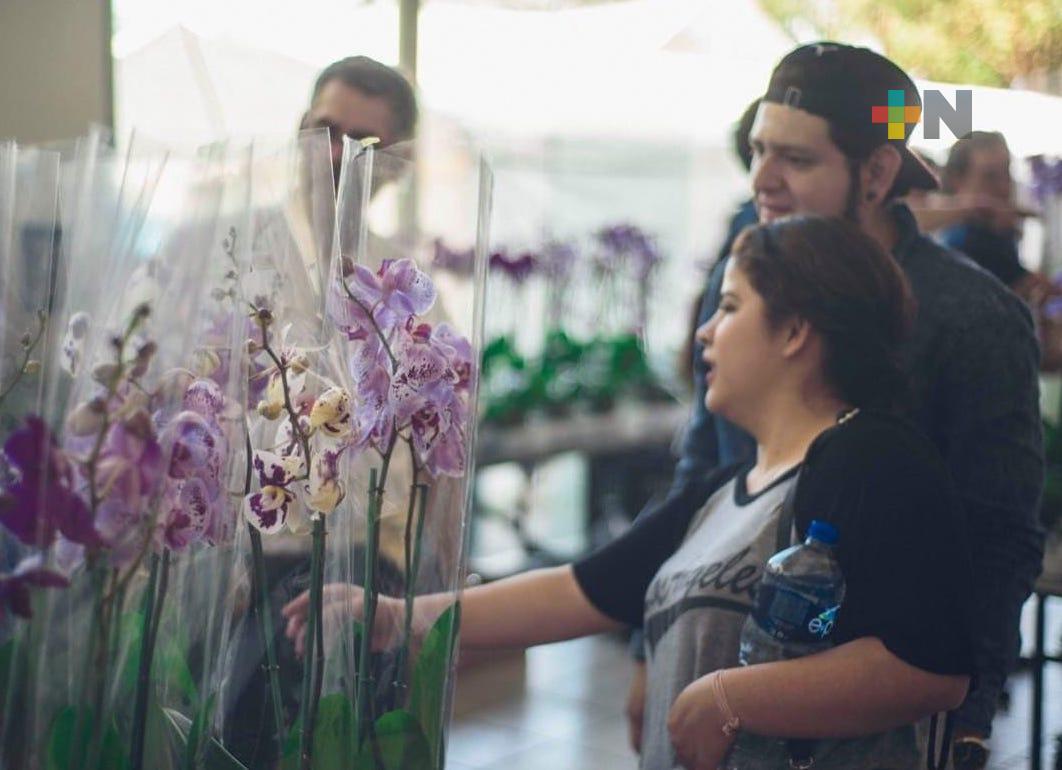Del 2 al 15 de diciembre habrá «Expo-Venta Orquídeas 2022», en Coatepec