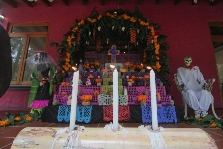 Invita IVEC a recorrer el Jardín de las Esculturas de Xalapa con toque de suspenso