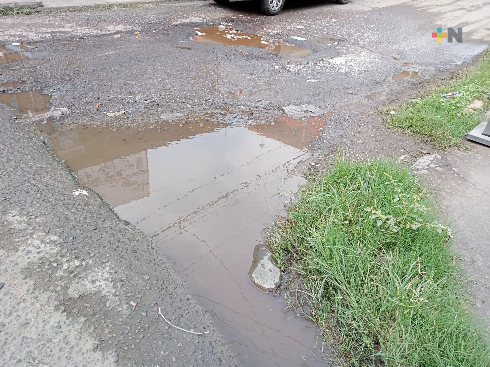 Baches cada vez más grandes en colonia 21 de abril de Veracruz puerto, denuncian vecinos