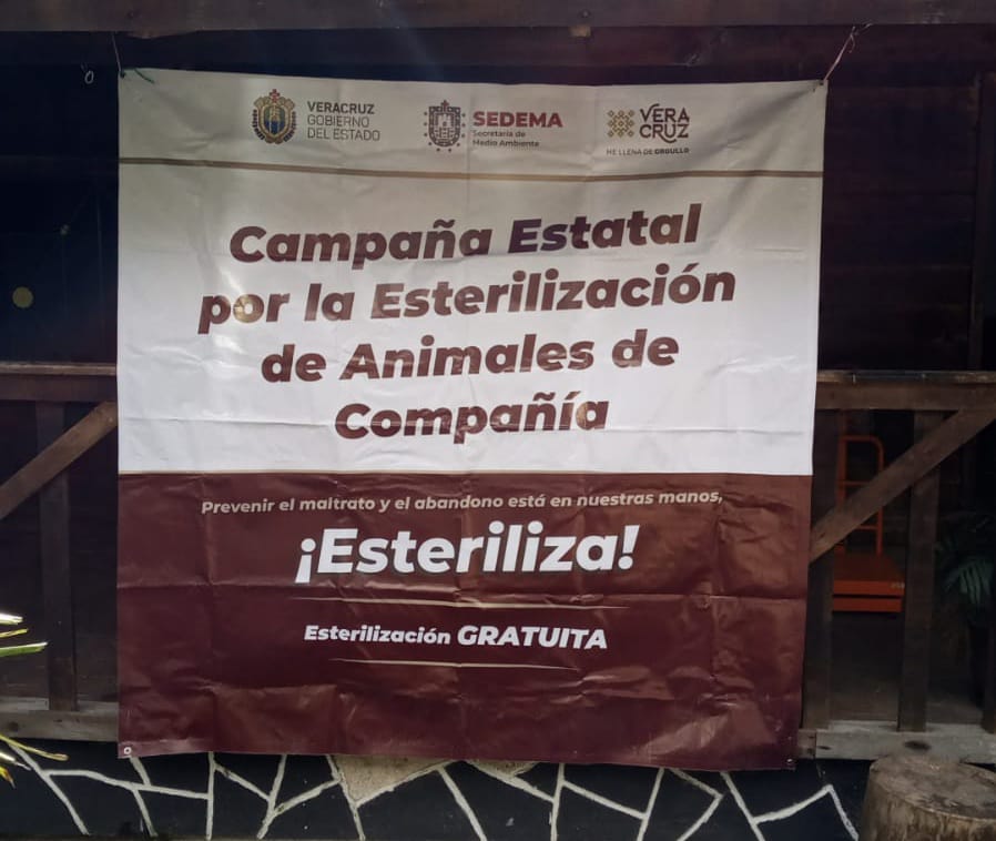 Sedema realiza esterilización de perros y gatos de forma gratuita