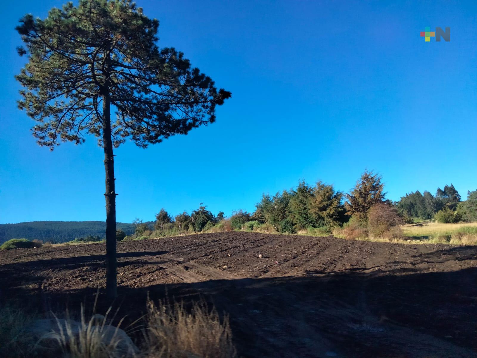 Ya activos los albergues de Perote para resguardar a población de bajas temperaturas