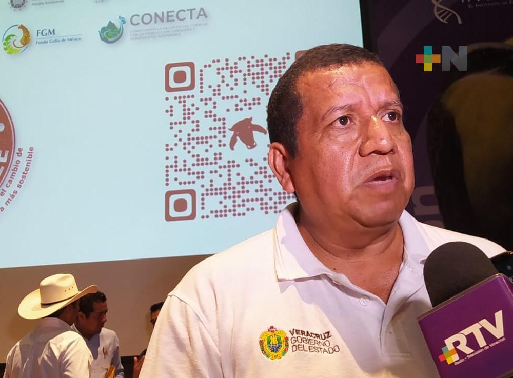 Seguro catastrófico para Veracruz sigue vigente: Sedarpa