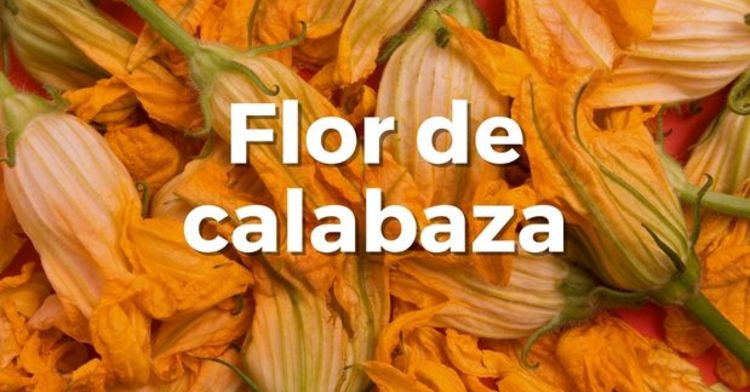 Flor de calabaza, una hermosa planta con múltiples beneficios
