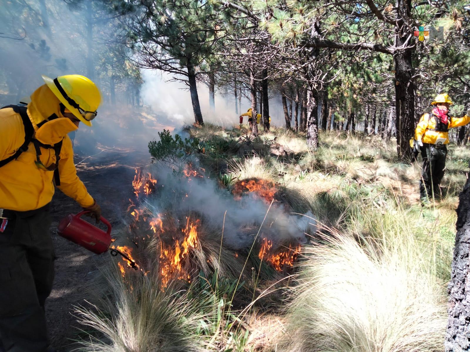 Realizan primera quema prescrita en el Parque Nacional Cofre de Perote