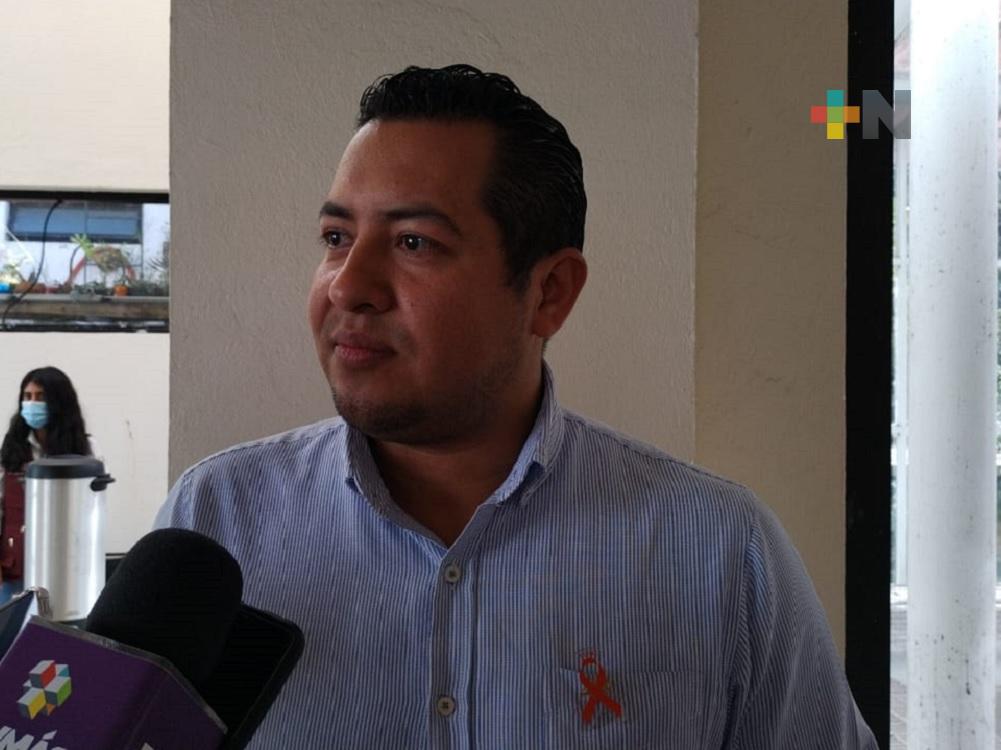 Responsabilidad del Ayuntamiento de Xalapa dar seguimiento al derribo de árboles: Sedema