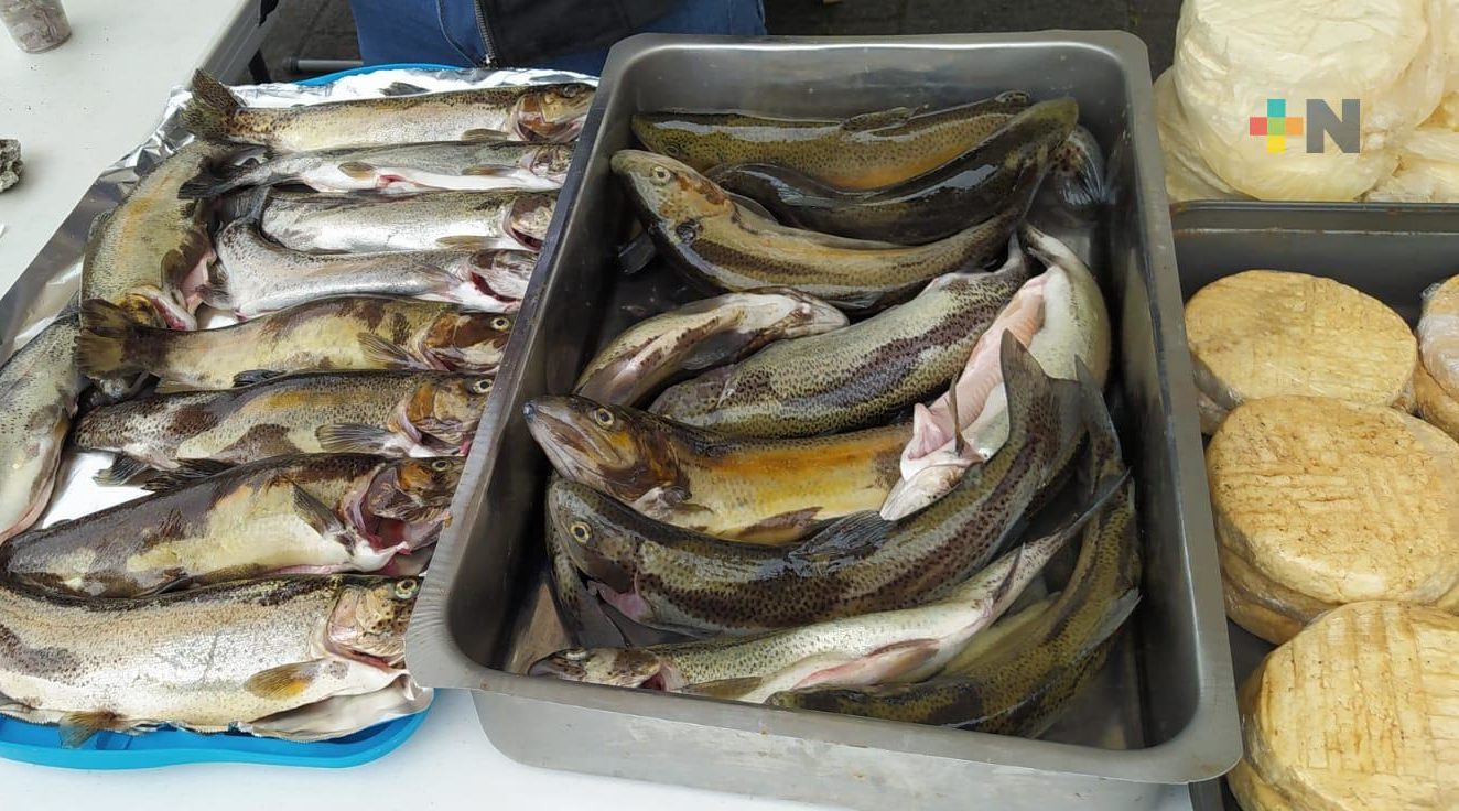 Venta de truchas y otros productos ofrecen en Sefiplan