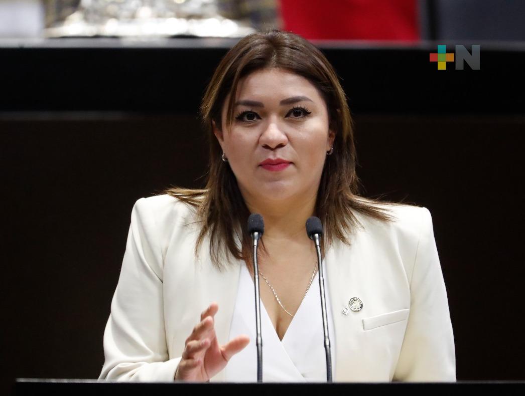 Propone diputada establecer el programa distintivo “Pueblo Originario”