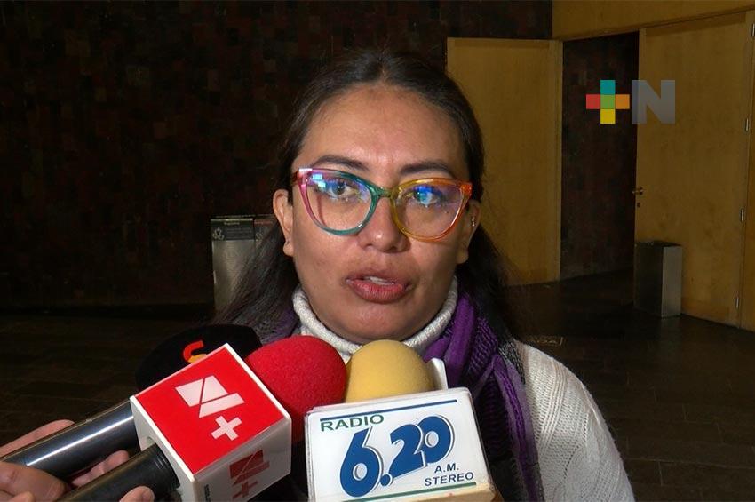 Afirma Elizabeth Pérez que la reforma electoral se tiene que construir con base en consensos