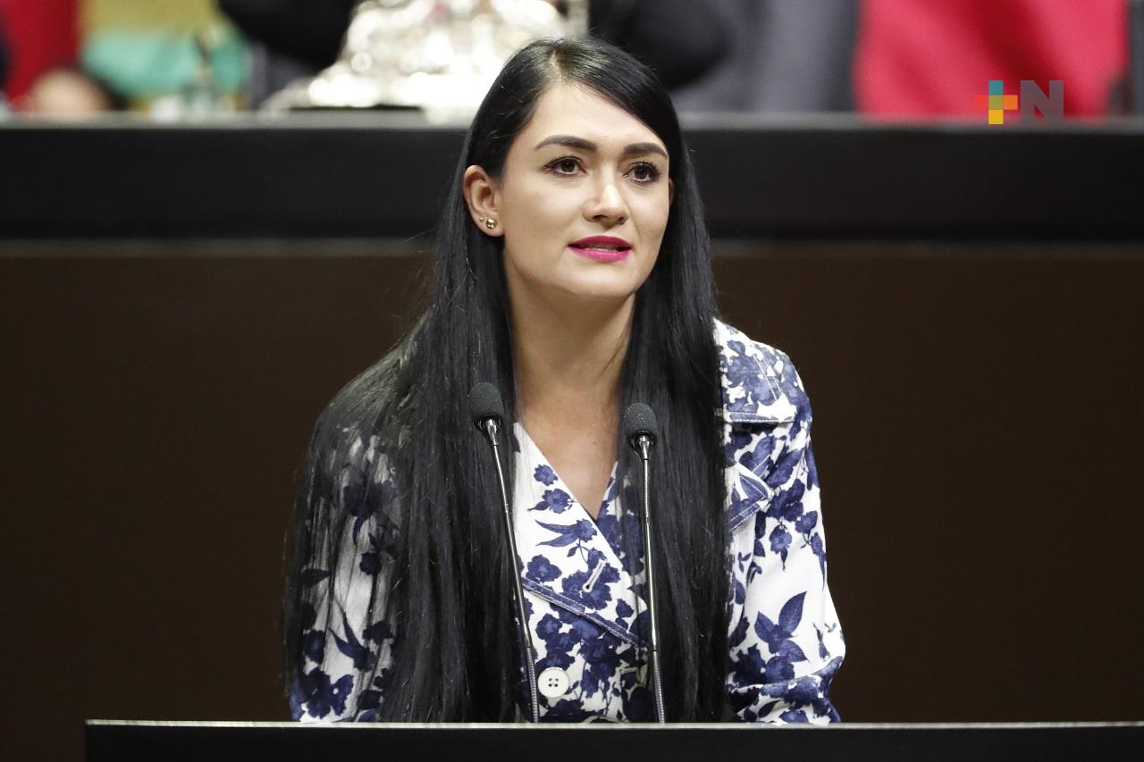 Propone diputada prisión contra quien despoje patrimonialmente a personas adultas mayores