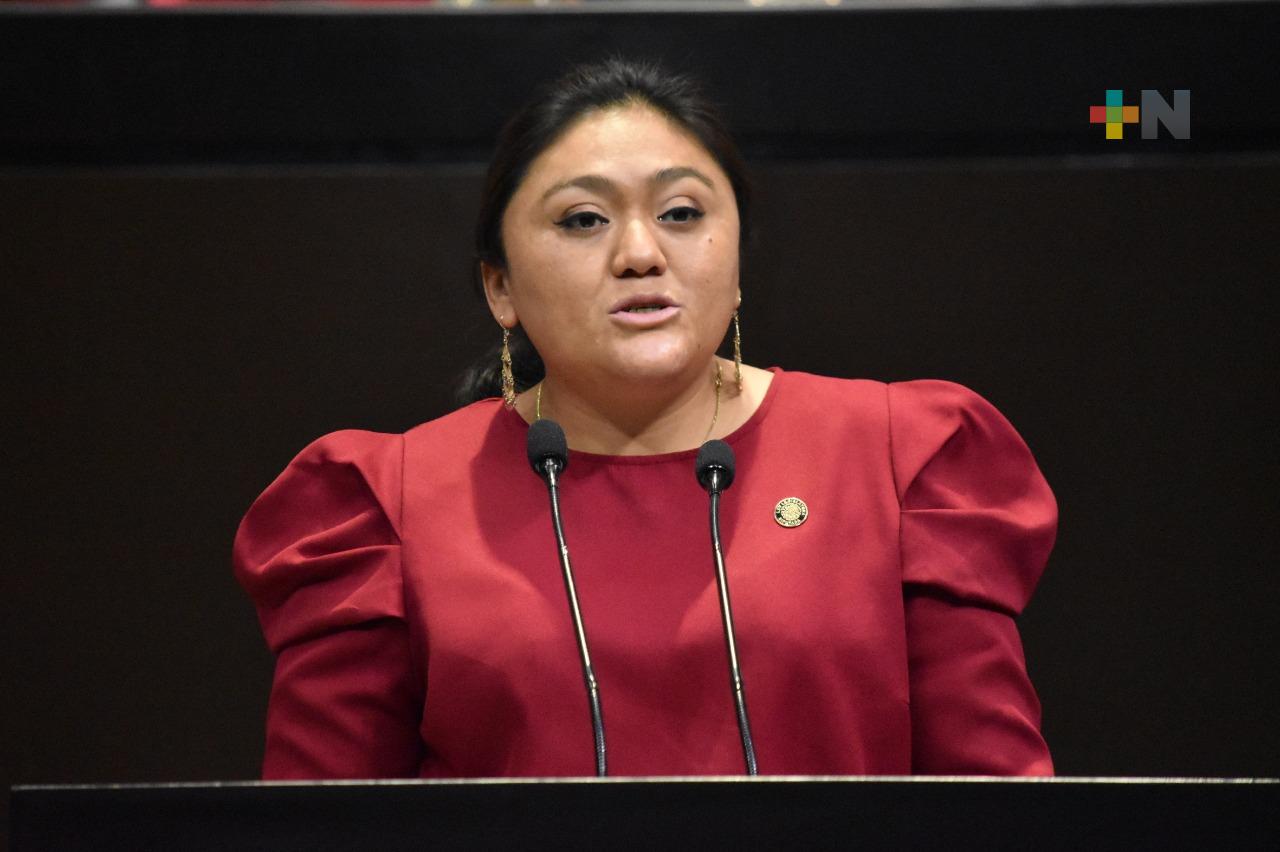 Plantean homologar protocolos con perspectiva de género para atender el feminicidio