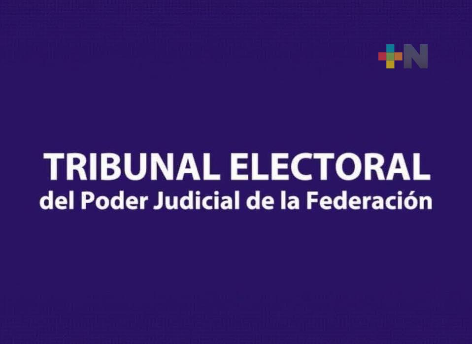 TEPJF revocó acuerdo de Cámara de Diputados relativo a designación de consejerías del INE
