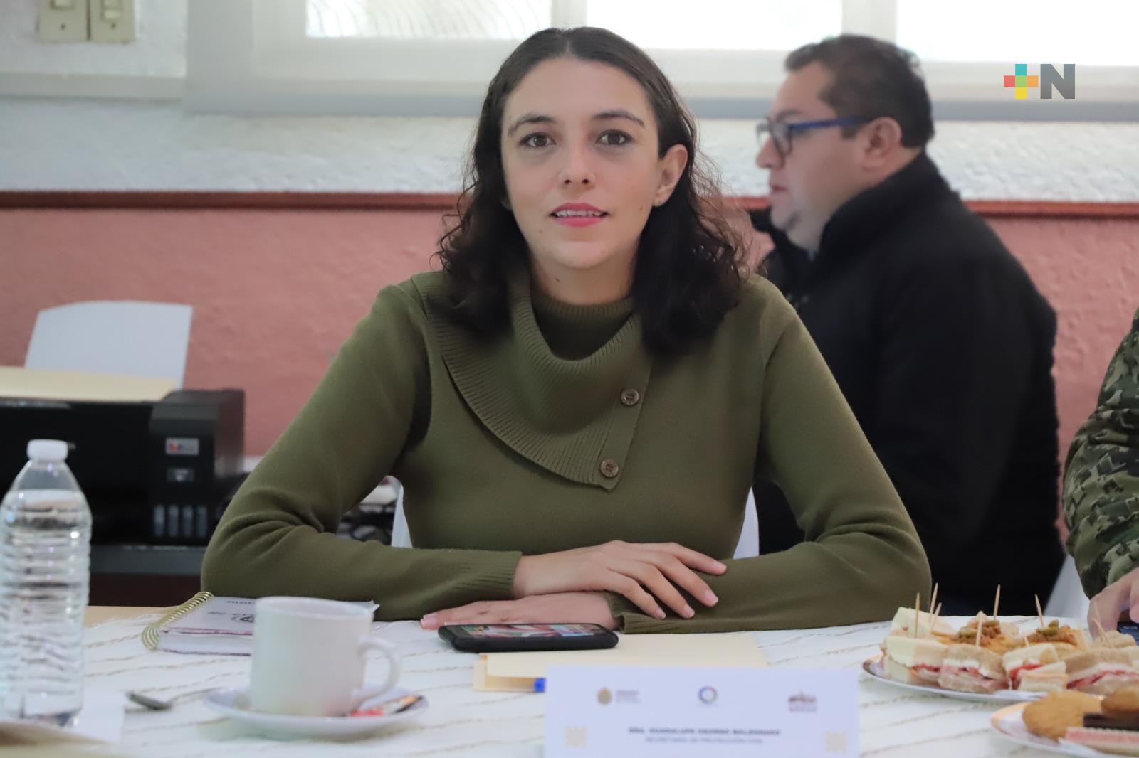 Al sur del estado se registran más afectaciones por el frente frío #19: Guadalupe Osorno