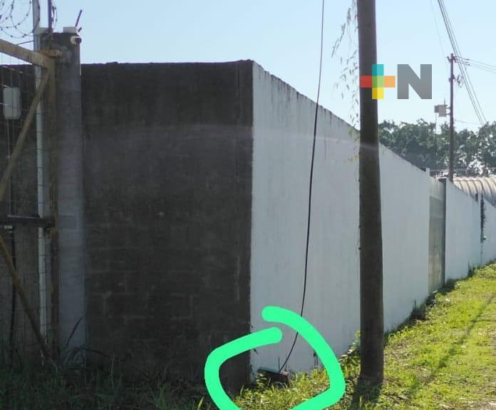 Abandonan en Martínez de la Torre a recién nacido