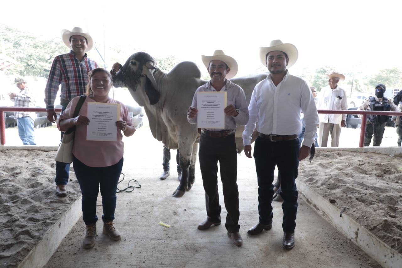 Es momento de participar en la comercialización del proyecto del Corredor Transístmico: Sedarpa