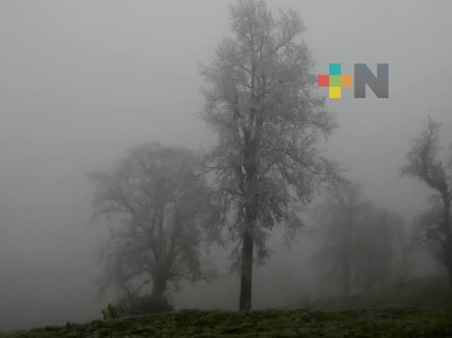 SPC mantendrá apoyo a municipios veracruzanos afectados por frentes fríos