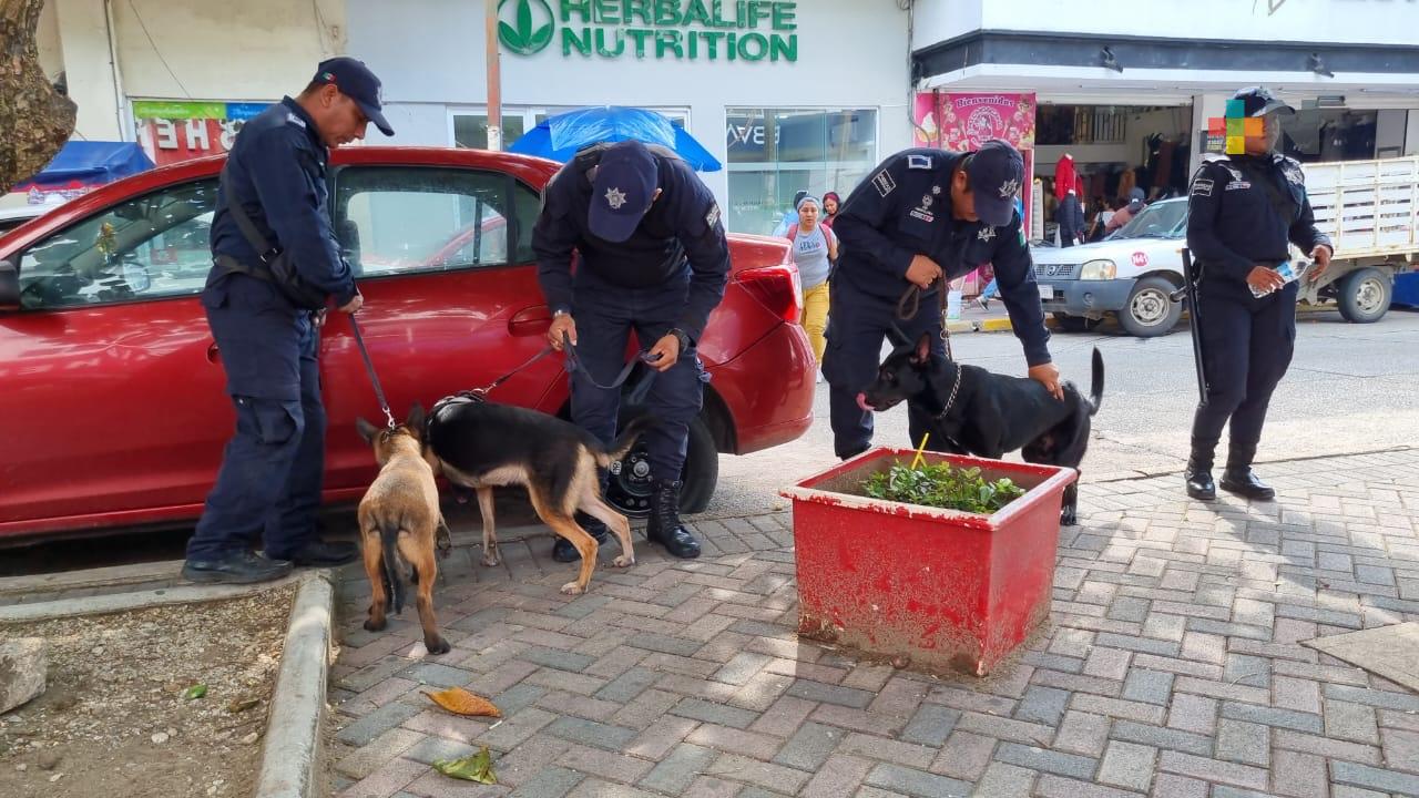 Policía de Coatzacoalcos integra tres nuevos elementos caninos a sus filas