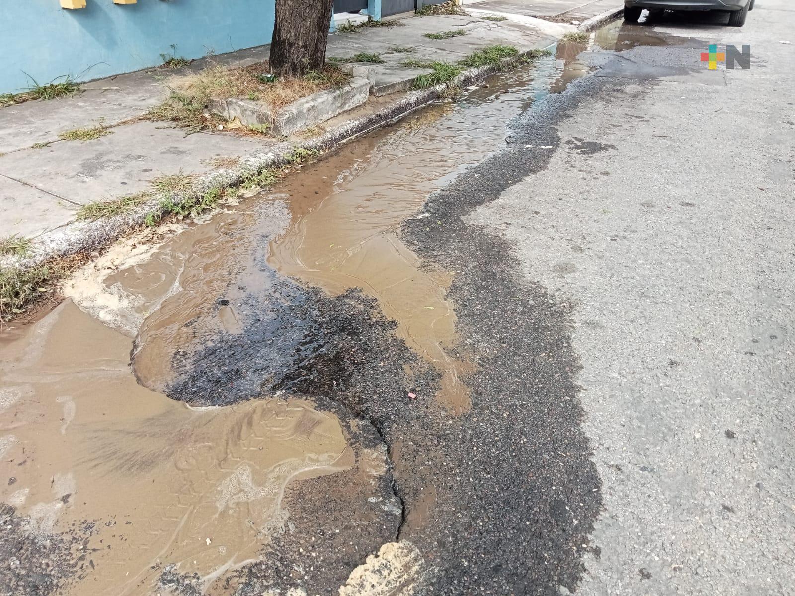 Fuga de agua afecta a calle y avenida de Boca del Río