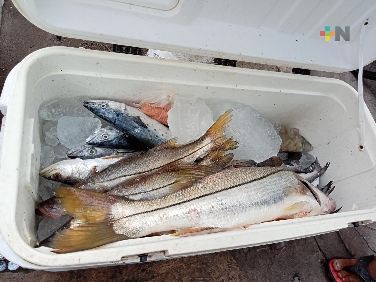 Aumentan un 60% ventas de pescadores de Boca del Río