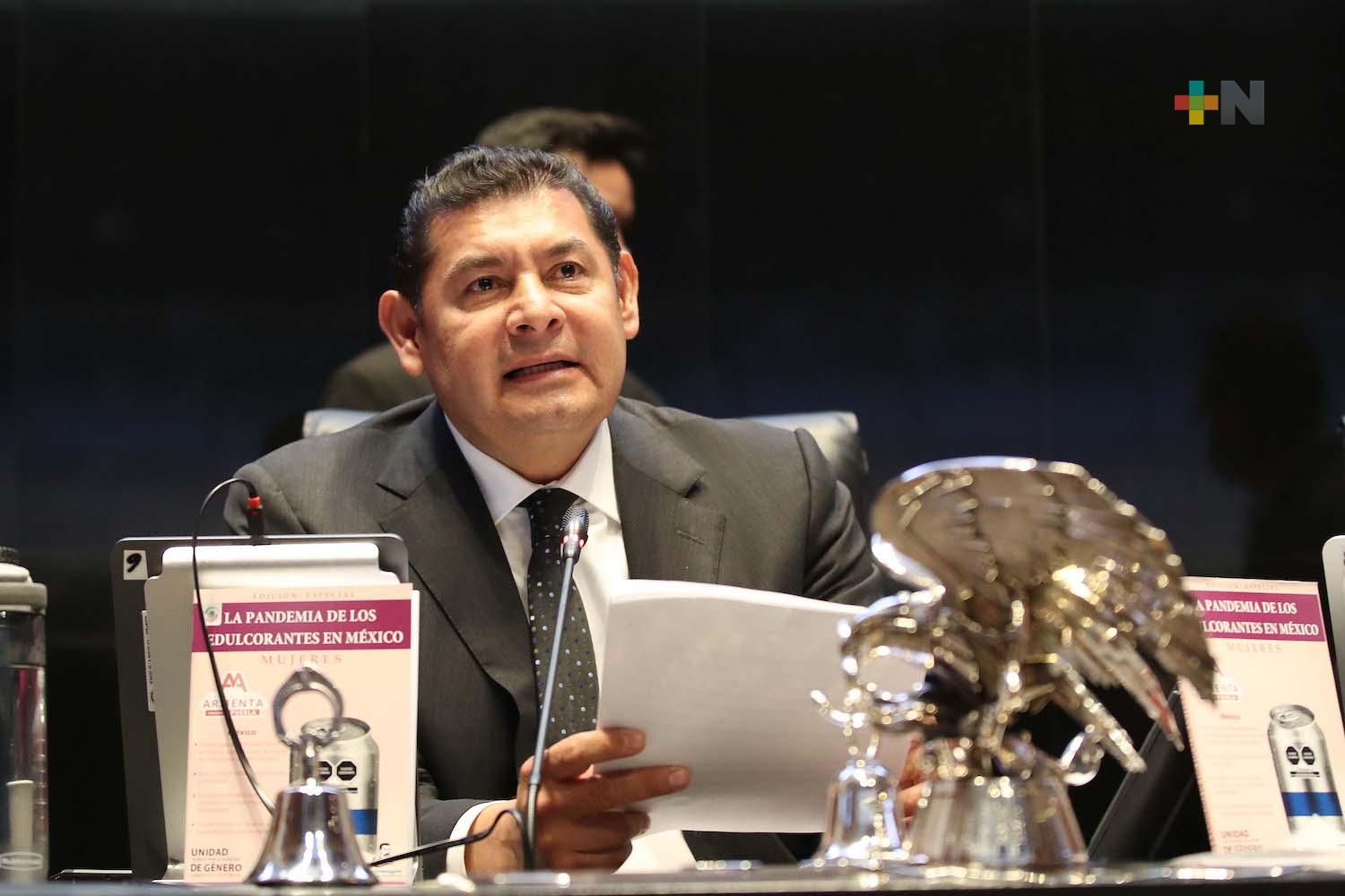 Seguridad, soberanía nacional y protección a mujeres, prioridades para el Senado