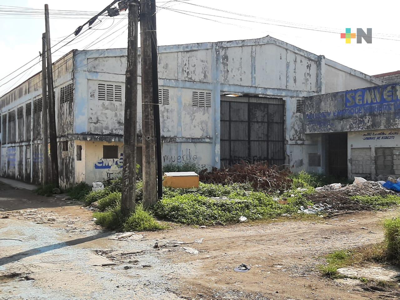 Colonos denuncian basureros clandestinos en calles de Veracruz puerto