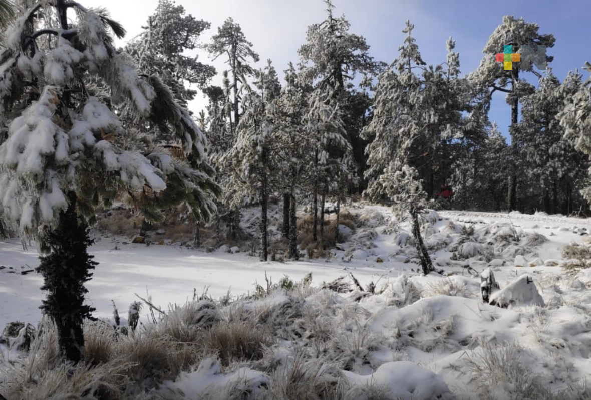 Registra primera nevada el Cofre de Perote, informa PC Estatal