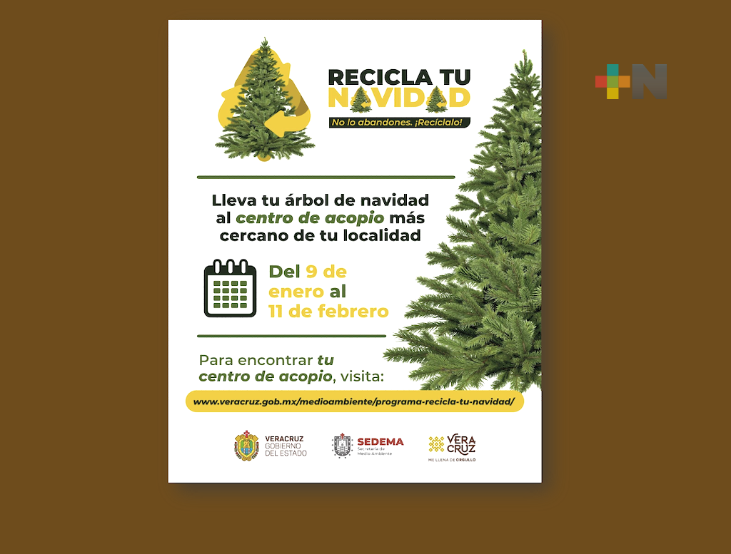 Del 9 al 11 de enero iniciará campaña «Recicla tu Navidad»