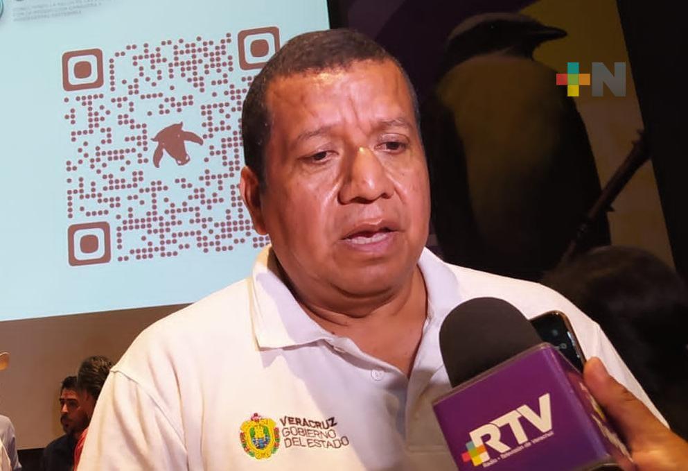 Siembra de otoño-invierno considerada como la más intensa para el sur de Veracruz: Sedarpa