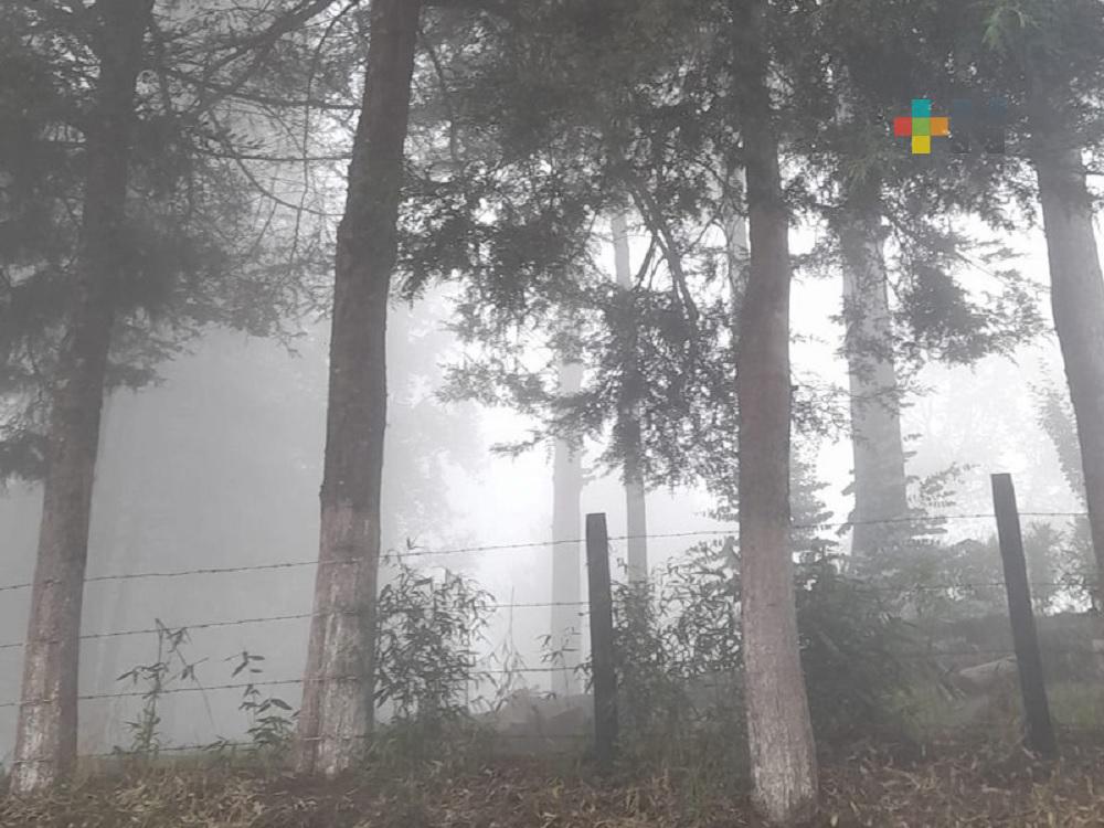 Sin daños por el paso del frente frío 13 en la sierra de Huayacocotla