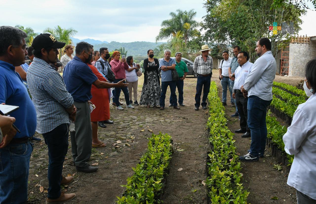 Brindó Fomento Agropecuario acompañamiento a 500 productores del campo