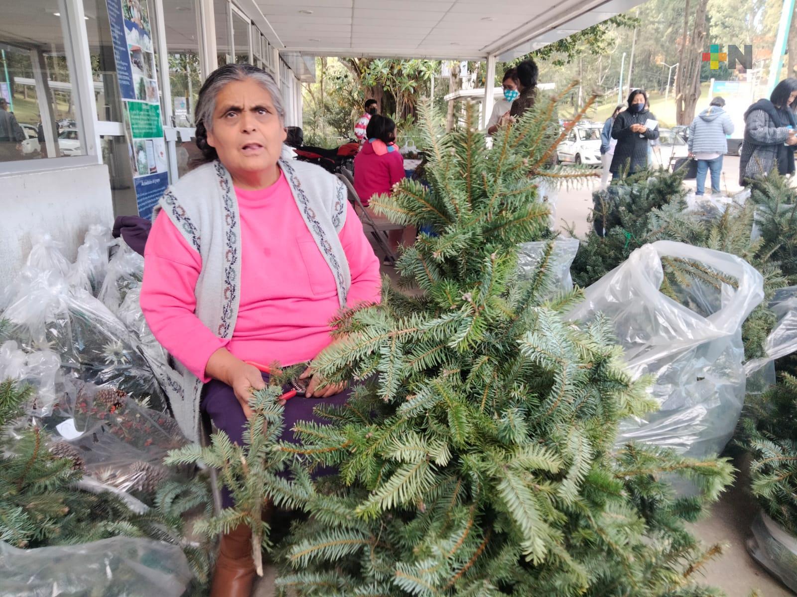Mujeres artesanas impulsadas por la UV venden en Xalapa coronas y pinos navideños
