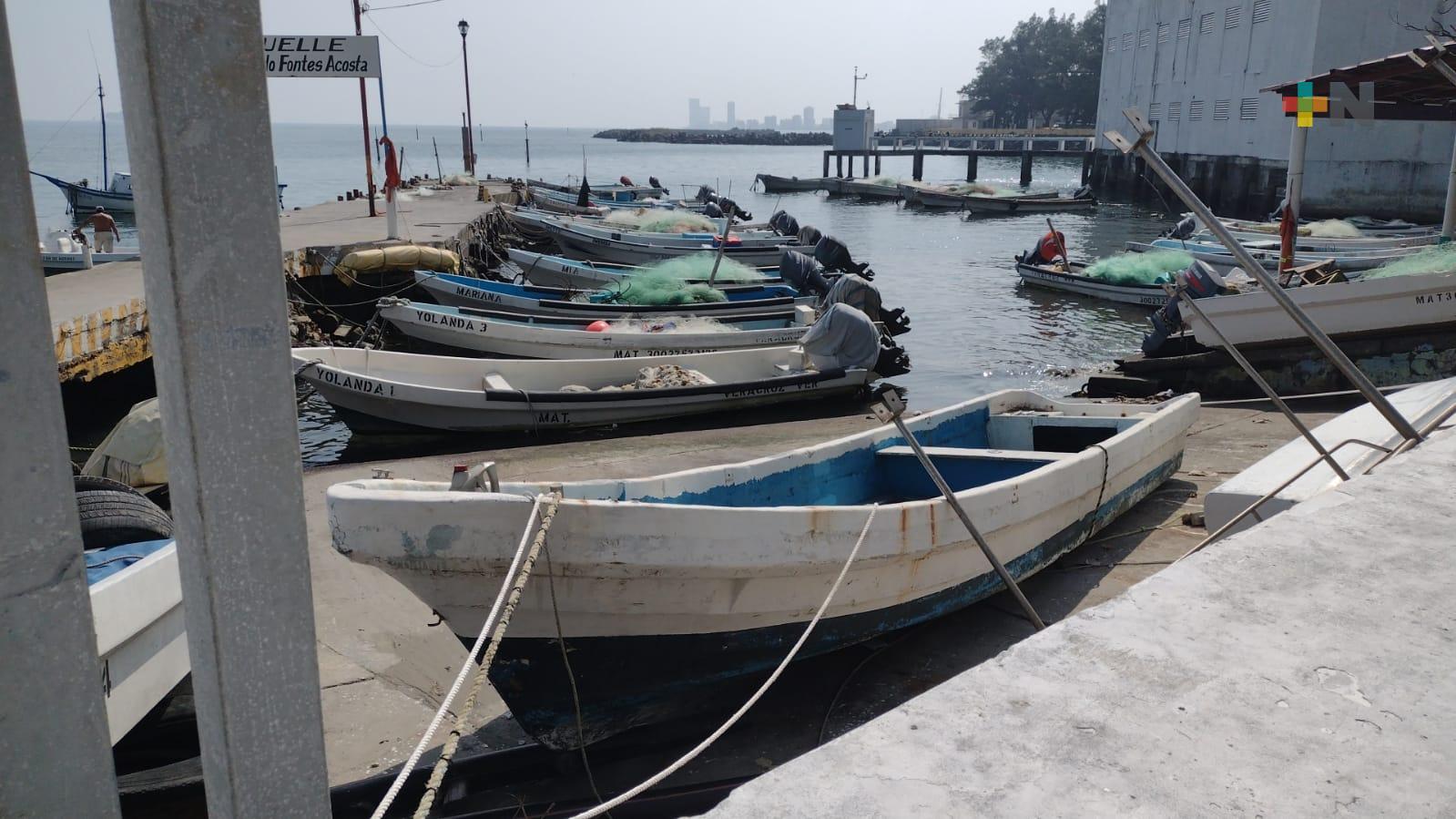 Pescadores de Veracruz toman precauciones por evento de norte
