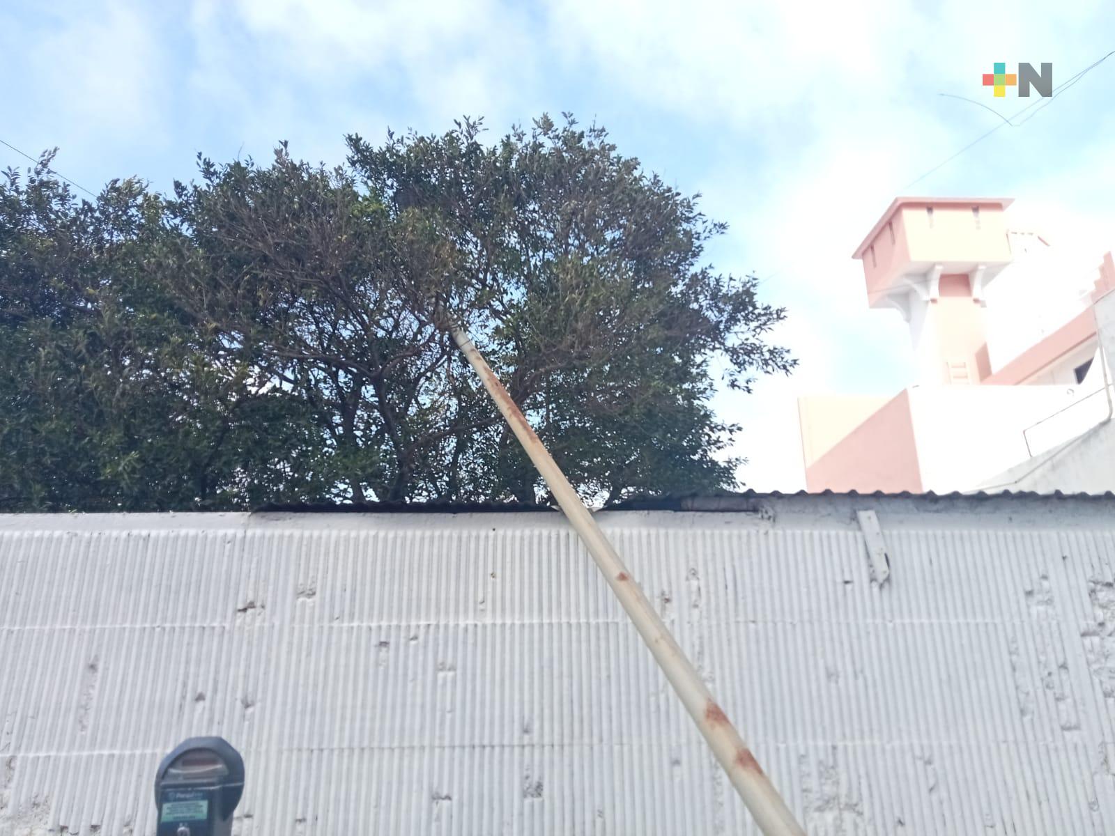 Los fuertes vientos del frente frío 19 derribaron poste en Veracruz puerto