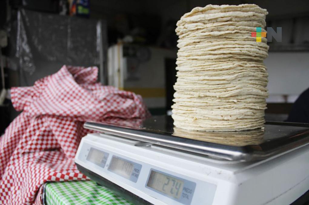 Gobierno acuerda con harineras y productores de maíz blindaje al precio de la tortilla