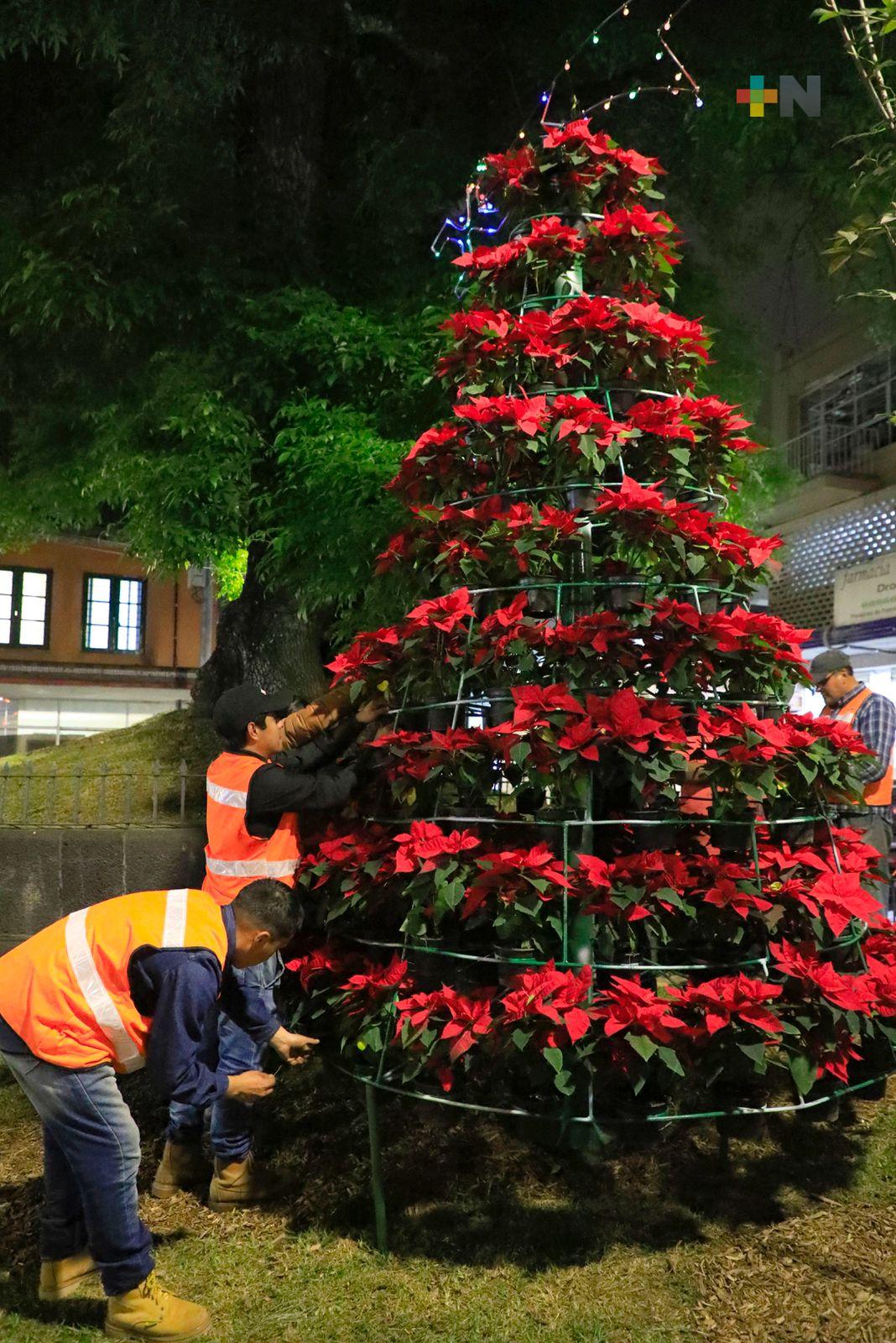 Instalan en Plazuela del Carbón adornos navideños