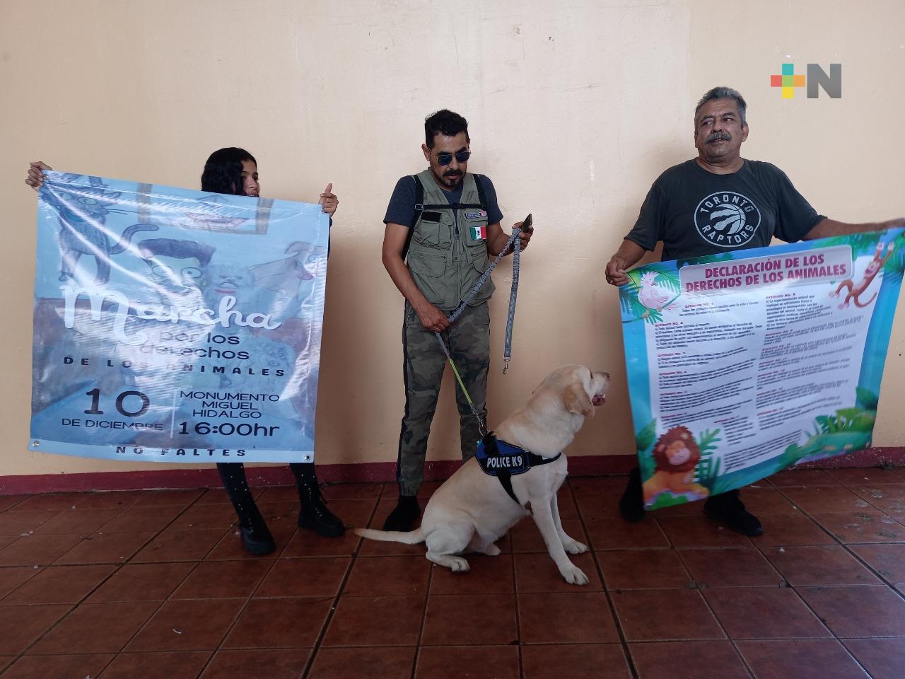 Activistas convocan a marcha en pro de los derechos de los animales