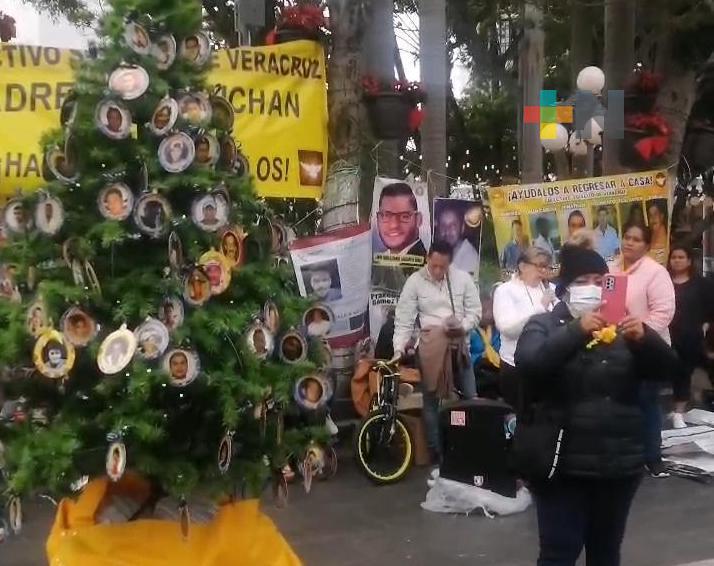 Colectivo Solecito pone en Zócalo del puerto,  el denominado «Árbol del Dolor»