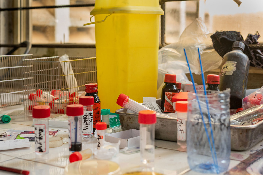 Infecciones mortales aumentan debido a bacterias resistentes a los antibióticos: OMS